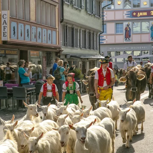 alpabfahrt-hauptgasse-appenzell