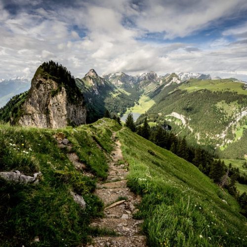 https___www.myswitzerland.com_-_media_celum connect_2024_05_28_14_04_08_altstaetten-hoher-kasten